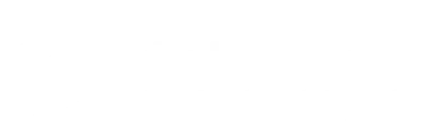 wholesome wave georgia logo